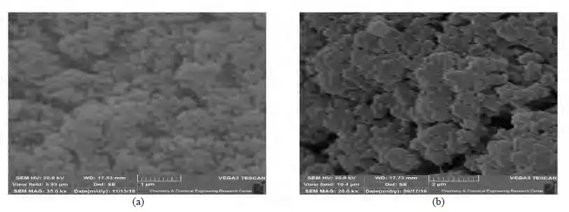 تصویر SEM کربوپل اصلاح نشده (a) و اصلاح شده (b)